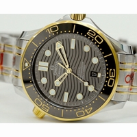 Seamaster Diver 300M SS/YG 1:1 Best Edition Black Ceramic Black Dial SS Bracelet ORF A8800