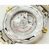 Seamaster Diver 300M SS/YG 1:1 Best Edition Black Ceramic Black Dial SS Bracelet ORF A8800