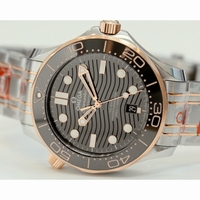 Seamaster Diver 300M 1:1 Best Edition Black Ceramic Black Dial SS Bracelet ORF A8800
