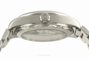 Omega Seamaster steel automatic Kal. 8900 Ref. 220.10.41.21.03.004