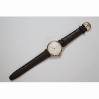 IWC Portofino China Automatic White RG Leather A2824