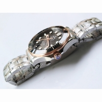 2018 Seamaster Diver 300M SS RG Ceramic Bezel Black Dial Two Tone Bracelet A8800