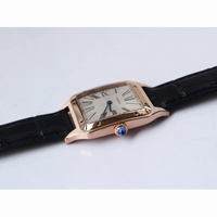 Cartier Santos RG Silver Dial Black Croco Strap Ronda Quartz