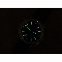 Planet Ocean Professional 42mm Dimond Bezel Black & White Dial Leather A8500