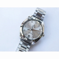 Aqua Terra 150 Woman 34mm Diamond Markers Silver Dial Bracelet A8800 VSF