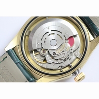 DayDate YG Stick Leather A23J BP *5 Dials*