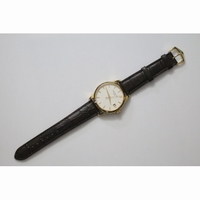 Polaris Geographic Blue Textured Dial Black Leather Strap A936 ZF