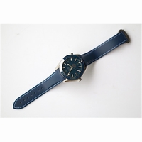 Planet Ocean 42mm Titanium Blue Dial Blue Rubber BP A8500