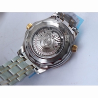 2018 Seamaster Diver 300M SS/YG 1:1 Best Edition YG Bezel Blue Dial SS/YG Bracelet A8800 VSF