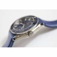 Planet Ocean Professional 45mm Titanium Blue Rubber V6F A8500
