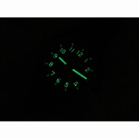 Planet Ocean Professional 45mm Titanium Blue Rubber V6F A8500