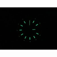 Rolex Oyster TT Fluted bezel  Sticker Numeral Gold dial 26mm BP 