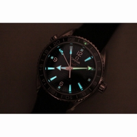 Omega Seamaster Planet Ocean GMT 600M Silver Number Rubber Black A8605