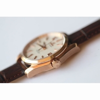 Omega Aqua Terra 38mm RG Black & White & Brown Dial Leather JHF A8501