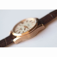 Omega Aqua Terra 38mm RG Black & White & Brown Dial Leather JHF A8501