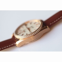 Omega Aqua Terra 38mm RG Diamond Bezel White Dial Leather JHF A8501
