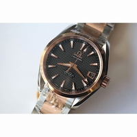 Omega Aqua Terra 38mm Two Tone Black & White Dial Bracelet JHF A8501