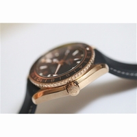 Omega Seamaster Planet Ocean RG GMT 600M Leather Black A8615