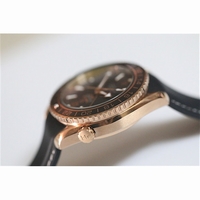 Omega Seamaster Planet Ocean RG GMT 600M Leather Black A8615