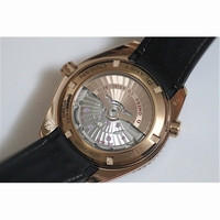Omega Seamaster Planet Ocean RG GMT 600M Leather Black A8615