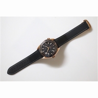 Omega Seamaster Planet Ocean RG GMT 600M Leather Black A8615