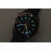 Omega Seamaster GMT 600M RG Real Ceramic Silver & Blue Number Black Dial Rubber BP A8605