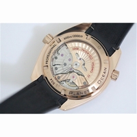 Planet Ocean 45mm Professional Rose Gold Liquid Metal Black Rubber V6F A8501