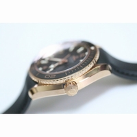 Planet Ocean 600m 45.5mm Ceragold? Black Rubber V6F A8501