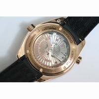 Planet Ocean 600m 45.5mm Ceragold? Black Rubber V6F A8501