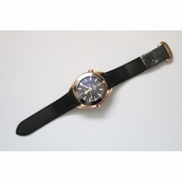 Planet Ocean 600m 45.5mm Ceragold? Black Rubber V6F A8501